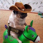 Nelson69's Avatar'