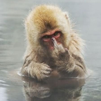 mad_MONKY2623's Avatar'