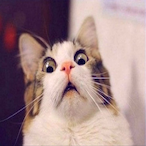 IDIvKASSU's Avatar'