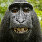 Tamasyokunin.'s Avatar'
