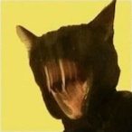 Trin-'s Avatar'