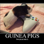 McLovin.LFT's Avatar'