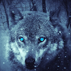V3N0M_07's Avatar'