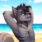 KyroTheFolf's Avatar'