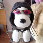zSnoopera-.'s Avatar'
