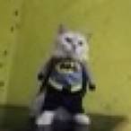 jiiigsta's Avatar'