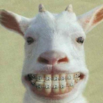 wheezy_outahere's Avatar'