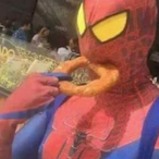 LushBo's Avatar'