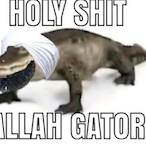 CallMeCoIIins's Avatar'