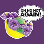 PotOfPetunias's Avatar