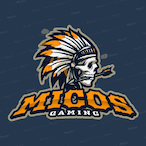 FL4KE.Micos's Avatar'