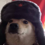 ogags's Avatar'