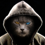 Lakosa69's Avatar'