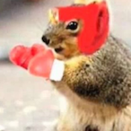 nDSquirrel's Avatar'