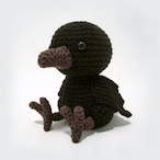 crazyraven101's Avatar'