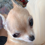 DiegoSweatshirt_'s Avatar'