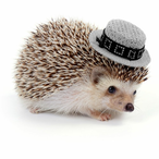 USELESS__casual's Avatar'