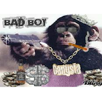 pimpchimpgod's Avatar'