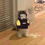 alucardss84's Avatar'