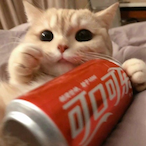 zhzhd's Avatar'