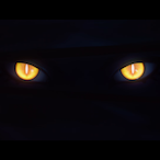 CaDiii_7's Avatar'