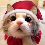 Huopot's Avatar'