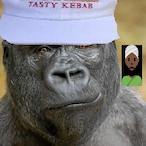 M0NKi.43's Avatar'