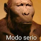 PitbuIIDoSamba's Avatar'