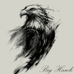 BigHawk's Avatar'