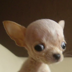 SoyUnaRata1's Avatar'