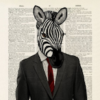 zebrixs's Avatar'