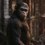 FlippyFlip7's Avatar'