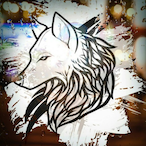 W0LF3r_'s Avatar'