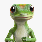 GEICO_'s Avatar'