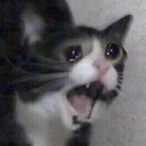 RegretfulWorry's Avatar'