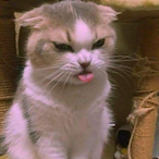 pepsinogenio's Avatar'