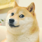 Cant fathm's Avatar'