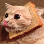 XxSnIpBeAsTxX's Avatar'