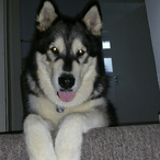 MrDeathKnight1's Avatar