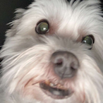 MimicheJteKen's Avatar'