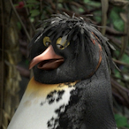 rottingcorpsewyb's Avatar'