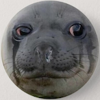 StrandedDear's Avatar'