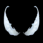 Venom.A's Avatar'