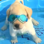 Zato.GODSENT's Avatar'