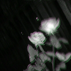 Wooze.'s Avatar'