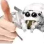 totoxot's Avatar'