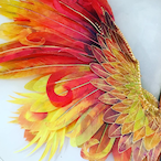 PhoenixSHOTz's Avatar'