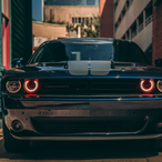 NoLuvTruth's Avatar'