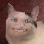LOLOLACREVETTe's Avatar'