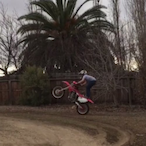 Coldchin199's Avatar'